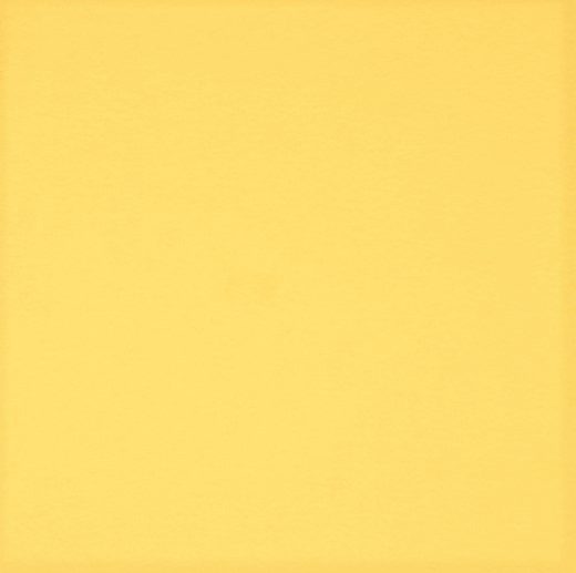 Tecido Polar Antiborboto Amarelo