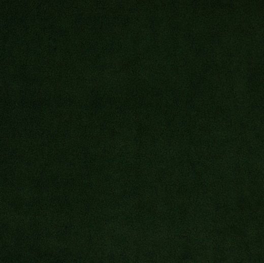 Tecido Polar Antiborboto Verde Escuro