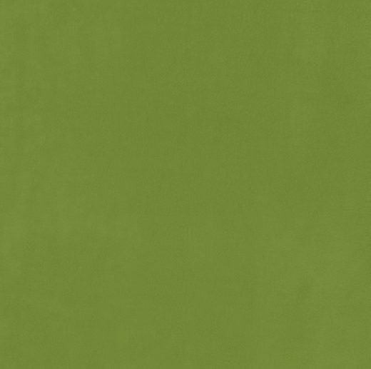 Tecido Polar Antiborboto Verde