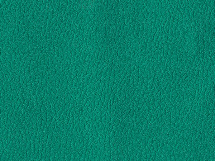 Ecopele Menta Brilhante