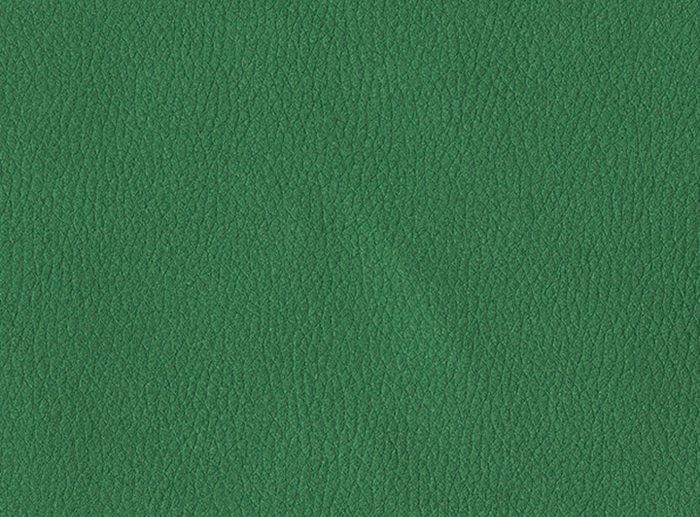 Ecopele Verde Floresta Brilhante