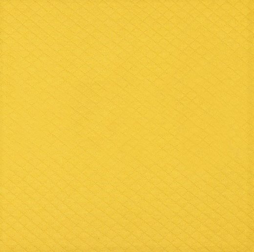 Jersey Acolchoado Amarelo