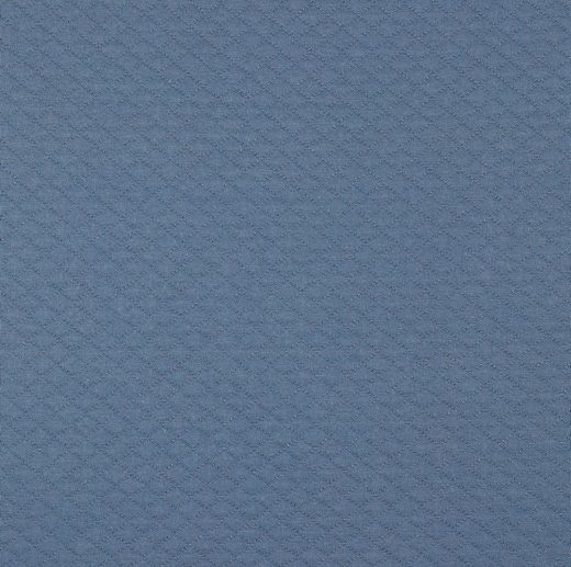 Jersey Acolchoado Azul