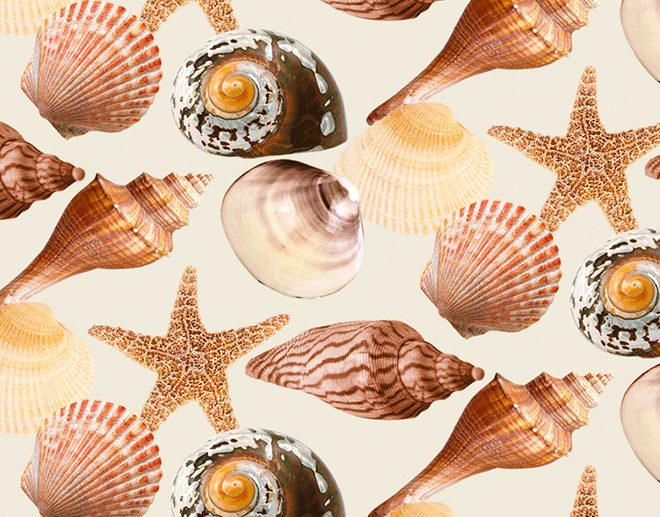Tecido Bord de Mer Búzios, Conchas & Estrelas do Mar