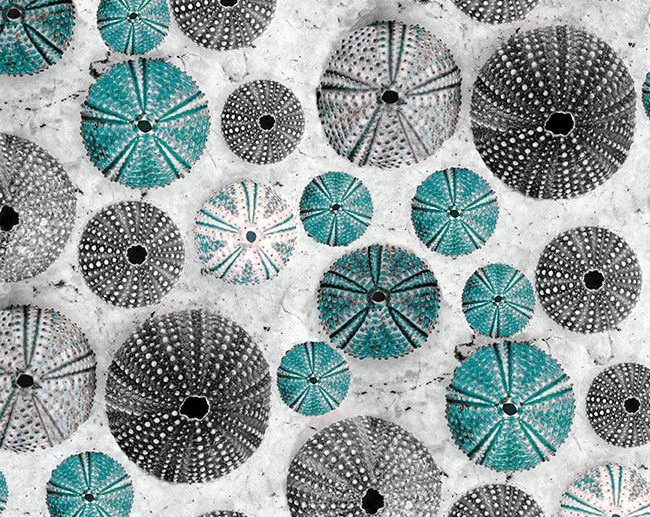 Tecido Ocean Sea Shells