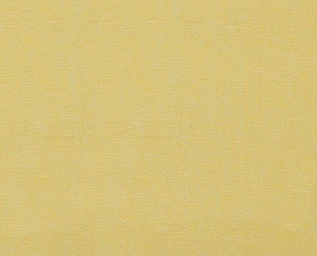 Tecido Oxford de Algodão Liso Amarelo