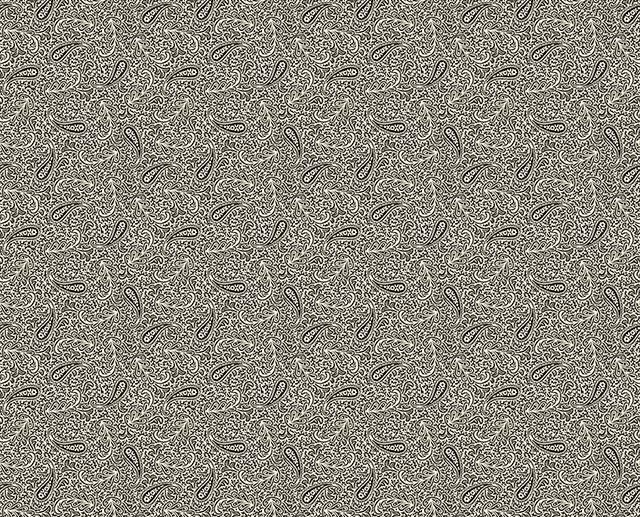 Tecido Bountiful Autumn Paisley Preto | Riley Blake