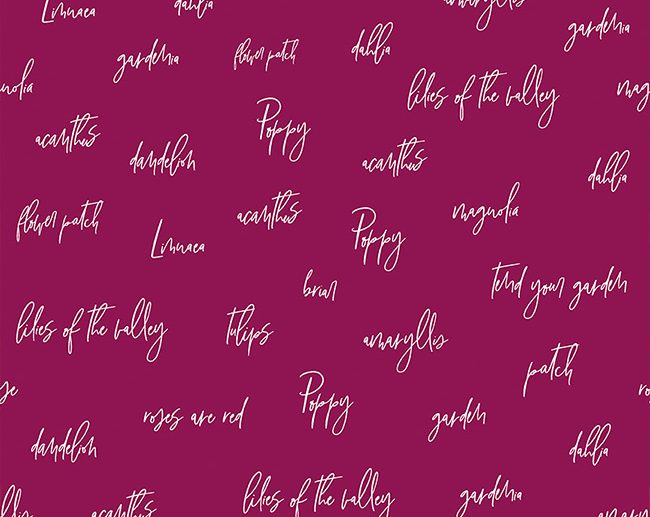 Tecido Bloom and Grow Caligrafia Burgundy | Riley Blake