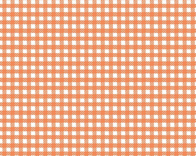 Tecido Hidden Cottage Gingham Xadrez Vichy Laranja | Riley Blake
