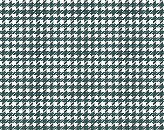 Tecido Hidden Cottage Gingham Xadrez Vichy Verde Floresta | Riley Blake