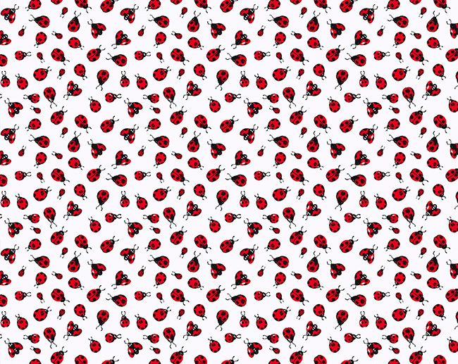 Tecido Ladybug Joaninhas Branco