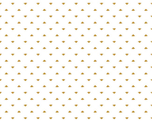 Tecido Summer Picnic Abelhas Branco | Riley Blake