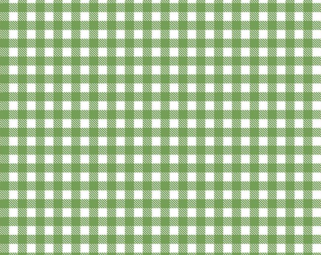 Tecido Summer Picnic Xadrez Vichy Verde | Riley Blake