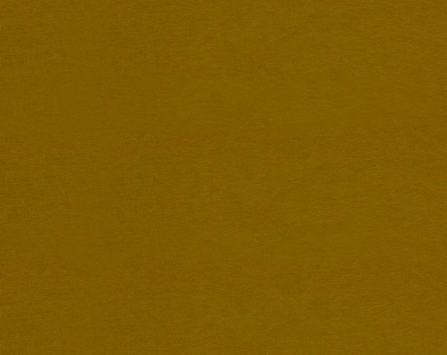 Malha Jersey de Algodão Orgânico Azeitona