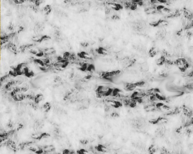 Tecido Boucle Confeção Mistura de Lã Branco