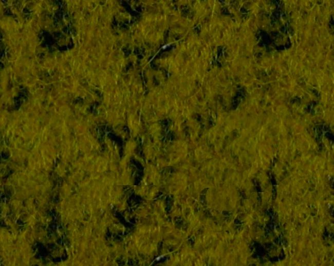 Tecido Boucle Confeção Mistura de Lã Verde Azeitona