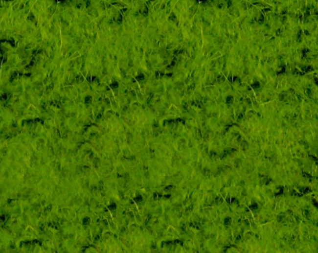 Tecido Boucle Confeção Mistura de Lã Verde Musgo