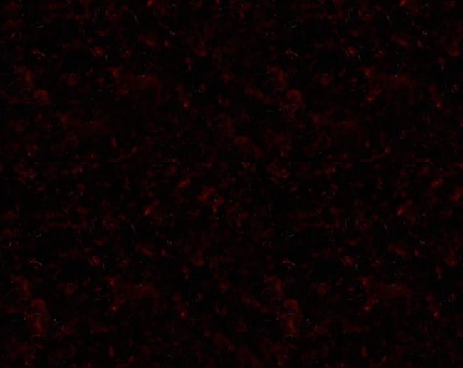 Tecido Boucle Confeção Mistura de Lã Vermelho Escuro