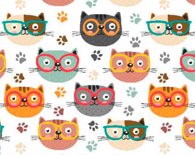 Tecido Fantasia Gatos com Óculos Multicor