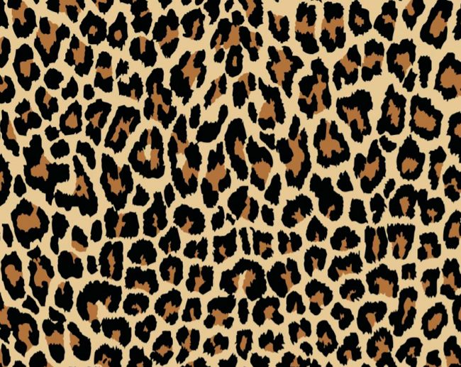Tecido Fantasia Padrão Animal Print Leopardo