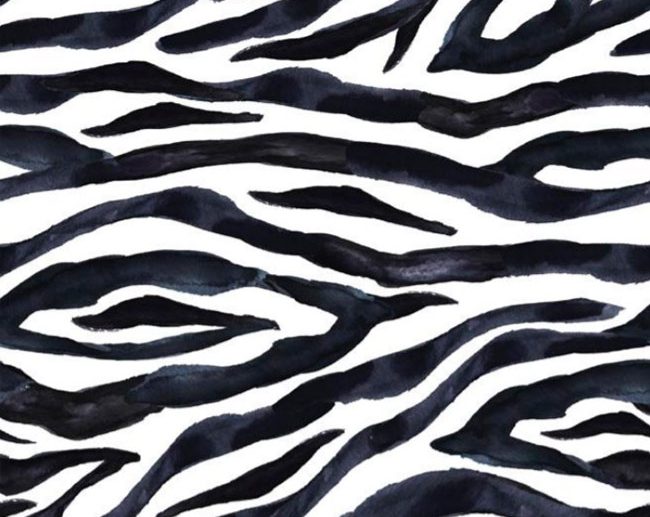 Tecido Fantasia Padrão Animal Print Zebra Aguarela Preto & Branco