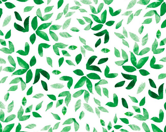 Tecido Gamboa 3 Folhas Aguarela Verde