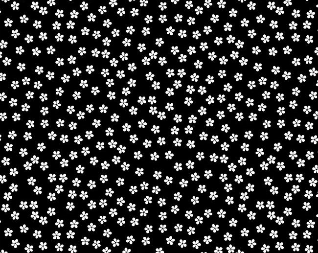 Tecido 60’s Ditsy Garden Floral Preto | Poppy