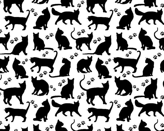 Tecido Fantasia Gatos Branco & Preto