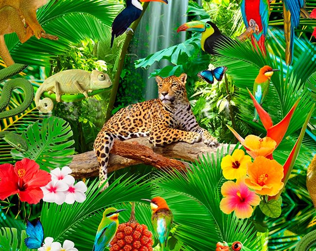 Tecido Impresso Half Panama Selva & Animais