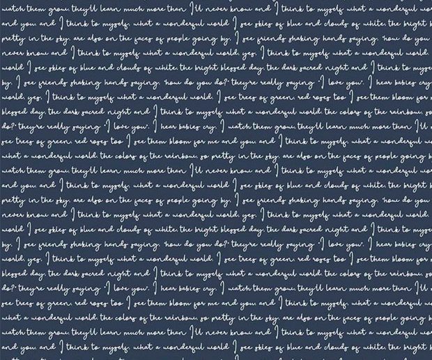 Tecido Gingham Foundry Texto Caligrafia Azul Marinho/Navy | Riley Blake